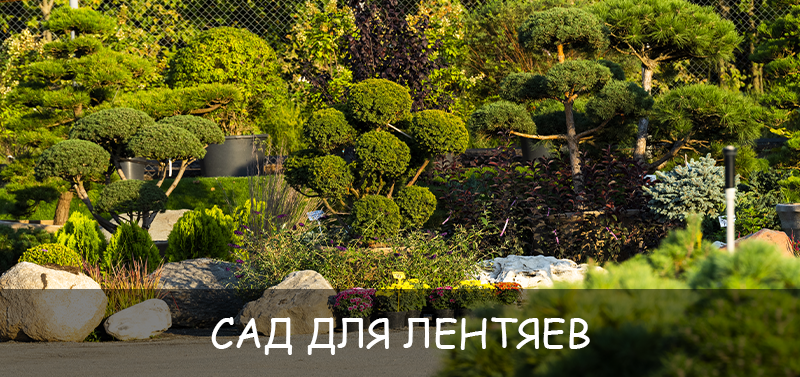 Сад для лентяев